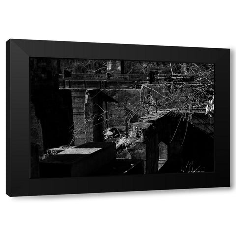 Tanglewood 2 Black Modern Wood Framed Art Print with Double Matting by Malone, Will