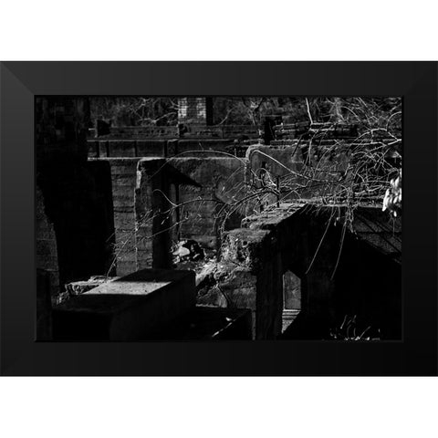 Tanglewood 2 Black Modern Wood Framed Art Print by Malone, Will