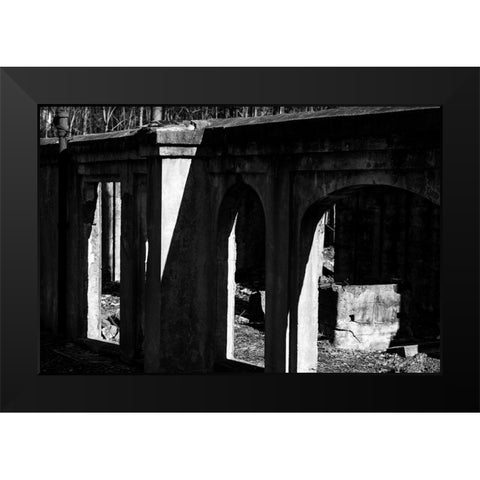 Tanglewood 3 Black Modern Wood Framed Art Print by Malone, Will