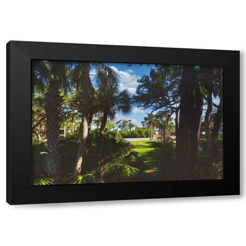 Tarpon Black Modern Wood Framed Art Print by Malone, Will