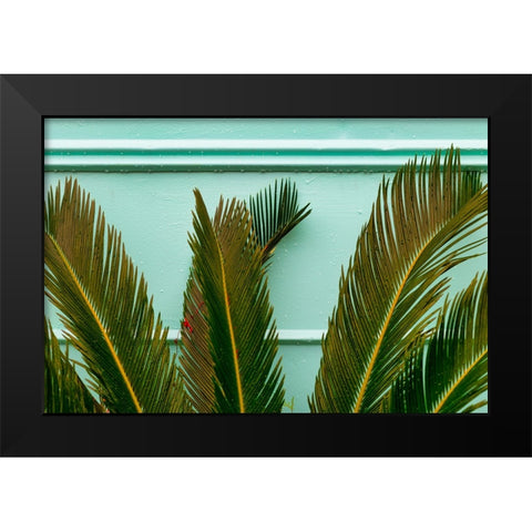 Teal Fern Black Modern Wood Framed Art Print by Malone, Will