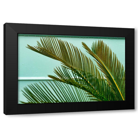Teal Fern 2 Black Modern Wood Framed Art Print by Malone, Will