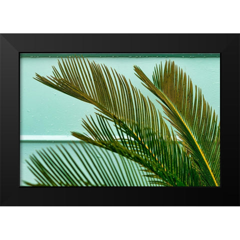 Teal Fern 2 Black Modern Wood Framed Art Print by Malone, Will