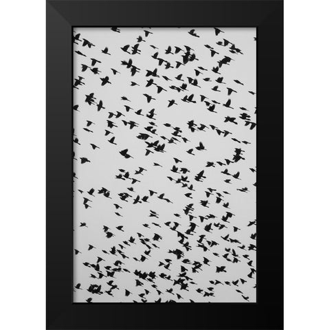 The Birds 2 Black Modern Wood Framed Art Print by Malone, Will