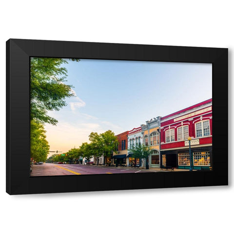 Thomasville Morning 3 Black Modern Wood Framed Art Print with Double Matting by Malone, Will