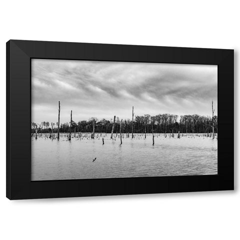 Tired Creek Clouds Black Modern Wood Framed Art Print by Malone, Will