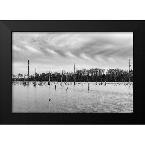 Tired Creek Clouds Black Modern Wood Framed Art Print by Malone, Will