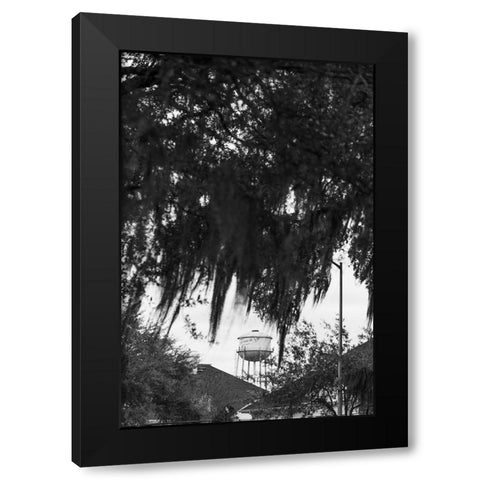 Tree Beard Black Modern Wood Framed Art Print with Double Matting by Malone, Will