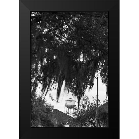 Tree Beard Black Modern Wood Framed Art Print by Malone, Will