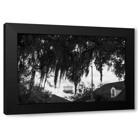 Tree Beard 2 Black Modern Wood Framed Art Print with Double Matting by Malone, Will