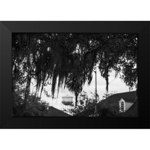 Tree Beard 2 Black Modern Wood Framed Art Print by Malone, Will