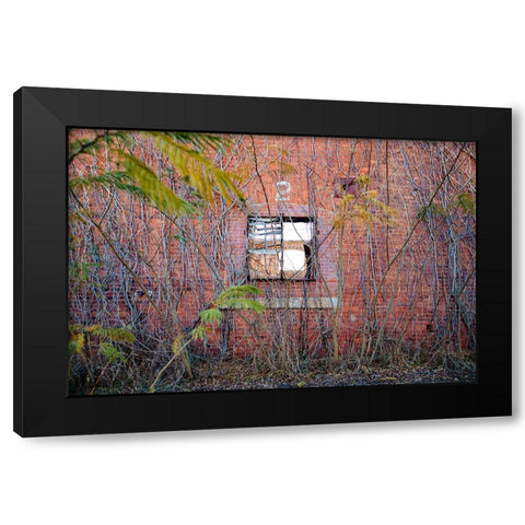 Two Web Black Modern Wood Framed Art Print with Double Matting by Malone, Will