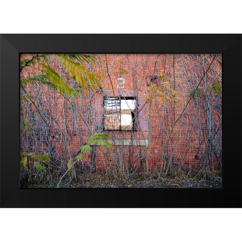 Two Web Black Modern Wood Framed Art Print by Malone, Will