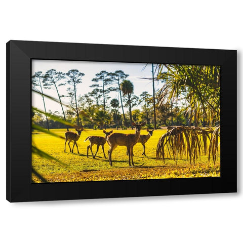 Wassup Black Modern Wood Framed Art Print by Malone, Will