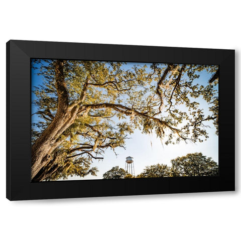 Watertower 4 Black Modern Wood Framed Art Print by Malone, Will