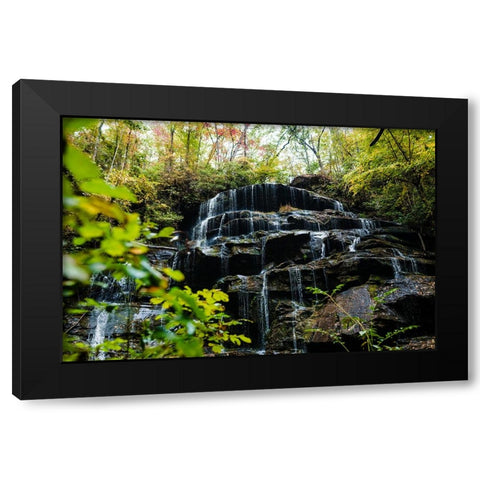 Yellow Branch 1 Black Modern Wood Framed Art Print by Malone, Will