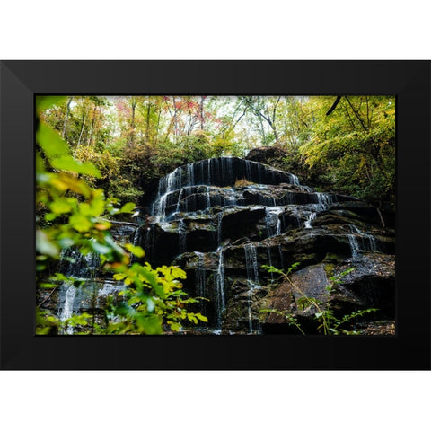 Yellow Branch 1 Black Modern Wood Framed Art Print by Malone, Will