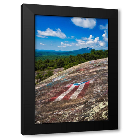 American Bald Black Modern Wood Framed Art Print by Malone, Will