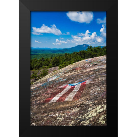 American Bald Black Modern Wood Framed Art Print by Malone, Will