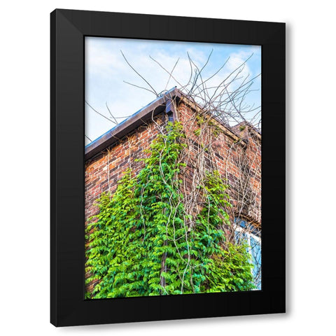 Corner 4 Black Modern Wood Framed Art Print with Double Matting by Malone, Will