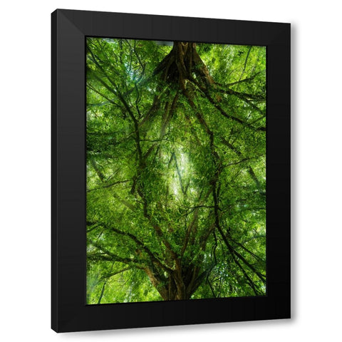 Grand Tree Black Modern Wood Framed Art Print by Malone, Will