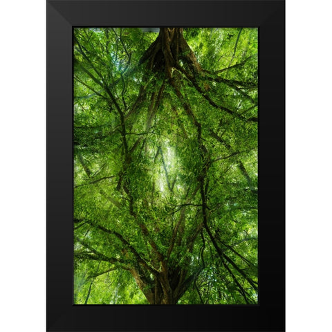 Grand Tree Black Modern Wood Framed Art Print by Malone, Will