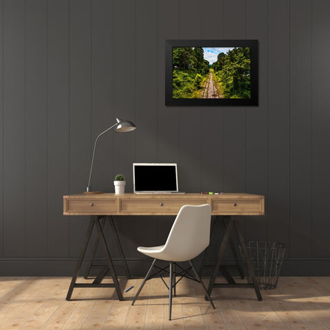 Overgrowth 2 Black Modern Wood Framed Art Print by Malone, Will