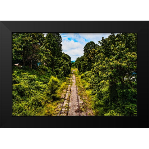 Overgrowth 2 Black Modern Wood Framed Art Print by Malone, Will