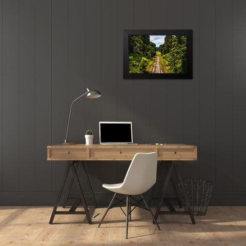 Overgrowth 3 Black Modern Wood Framed Art Print by Malone, Will