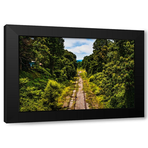 Overgrowth 3 Black Modern Wood Framed Art Print with Double Matting by Malone, Will