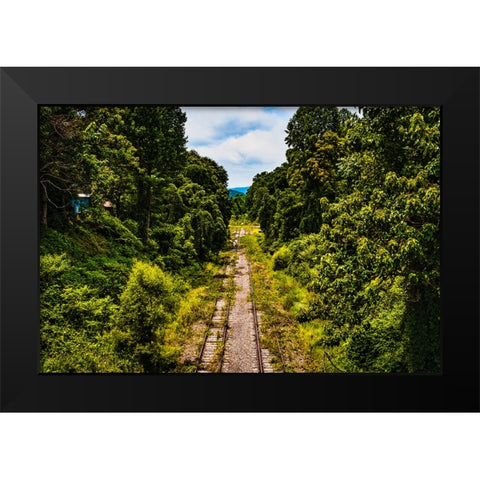 Overgrowth 3 Black Modern Wood Framed Art Print by Malone, Will