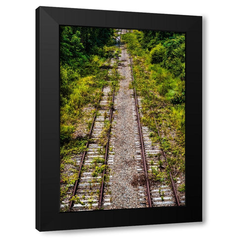 Overgrowth 4 Black Modern Wood Framed Art Print by Malone, Will