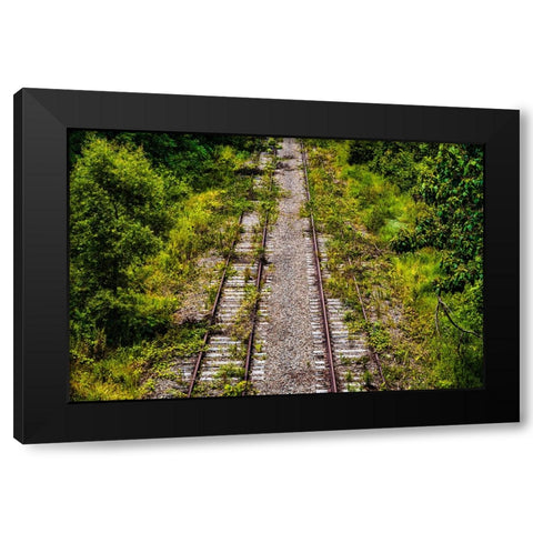 Overgrowth  Black Modern Wood Framed Art Print by Malone, Will