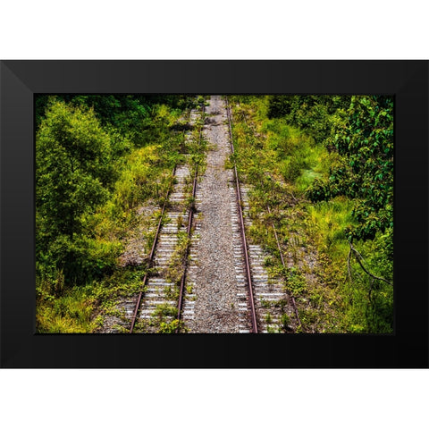 Overgrowth  Black Modern Wood Framed Art Print by Malone, Will