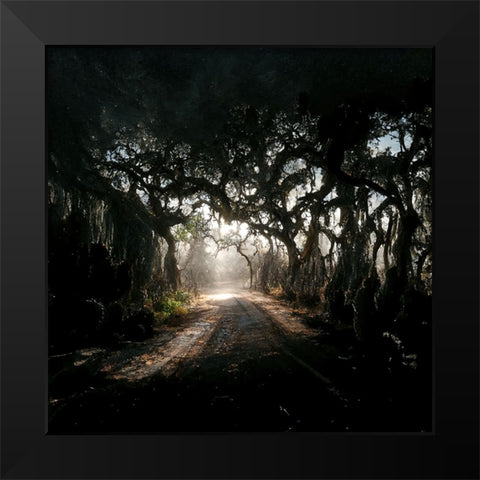 Road in the Woods 3 Black Modern Wood Framed Art Print by Screendoor