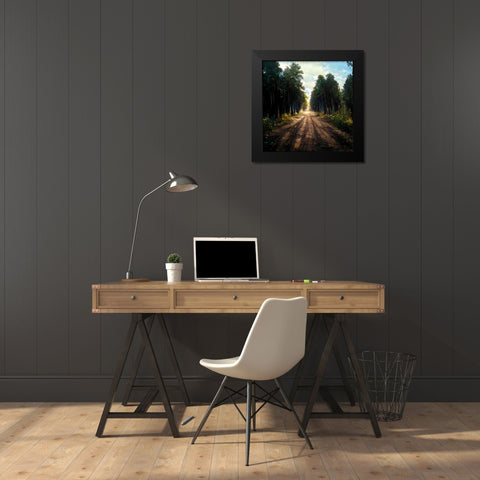 Road in the Woods 5 Black Modern Wood Framed Art Print by Screendoor