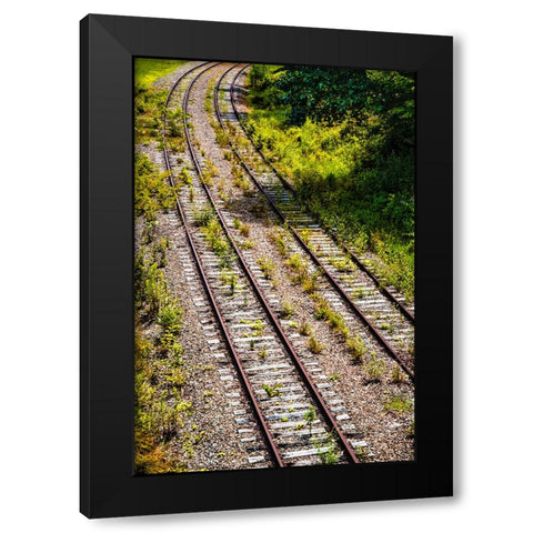 Saluda Tracks Curve  Black Modern Wood Framed Art Print by Malone, Will