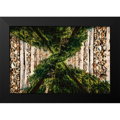 Saluda Tracks Upside Down Black Modern Wood Framed Art Print by Malone, Will