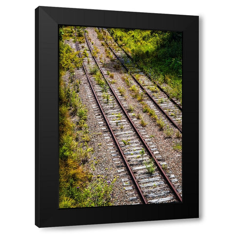 Saluda Tracks Black Modern Wood Framed Art Print by Malone, Will