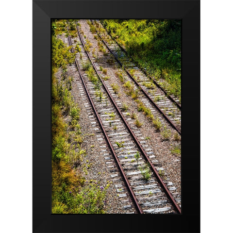 Saluda Tracks Black Modern Wood Framed Art Print by Malone, Will