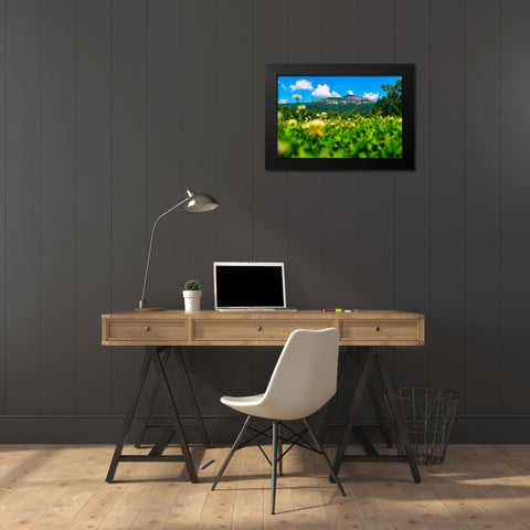 Table Rock Horizontal Black Modern Wood Framed Art Print by Malone, Will