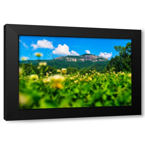 Table Rock Horizontal Black Modern Wood Framed Art Print with Double Matting by Malone, Will