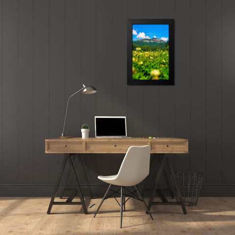 Table Rock Vertical Black Modern Wood Framed Art Print by Malone, Will