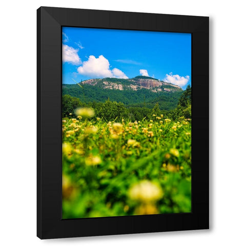 Table Rock Vertical Black Modern Wood Framed Art Print with Double Matting by Malone, Will