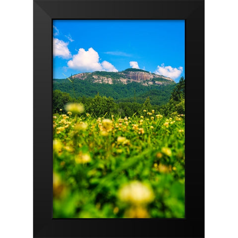 Table Rock Vertical Black Modern Wood Framed Art Print by Malone, Will