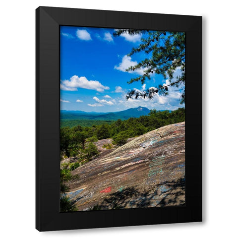 The Bald 2 Black Modern Wood Framed Art Print by Malone, Will