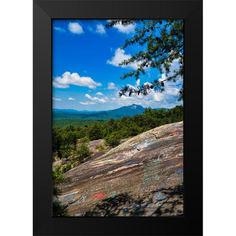 The Bald 2 Black Modern Wood Framed Art Print by Malone, Will