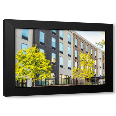 Window 3 Black Modern Wood Framed Art Print by Malone, Will