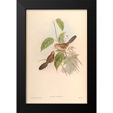 Suthora Webbiana Black Modern Wood Framed Art Print by CAG