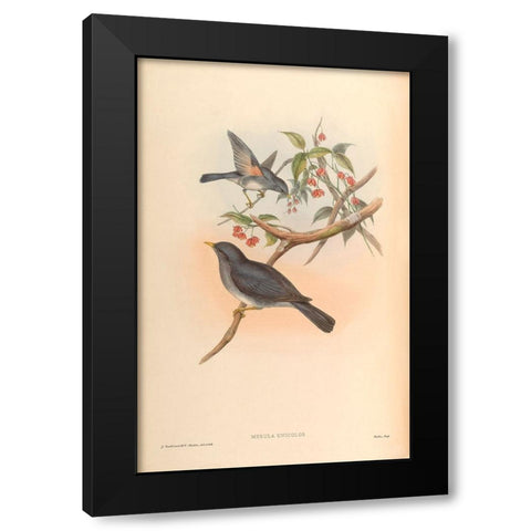 Merula Unicolor Black Modern Wood Framed Art Print by CAG